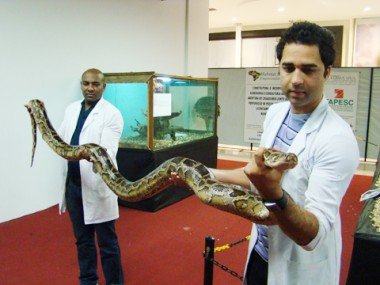 exposicao-de-cobras-alem-de-olhar-pode-tocar-1