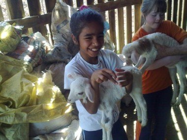 Equoterapia: Apae promove terapia alternativa