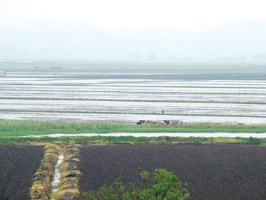 Caso Campeiro: Um ano de sufoco
