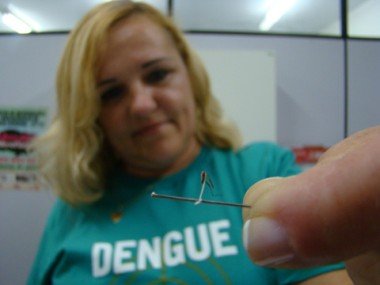 Dengue: 1º foco confirmado