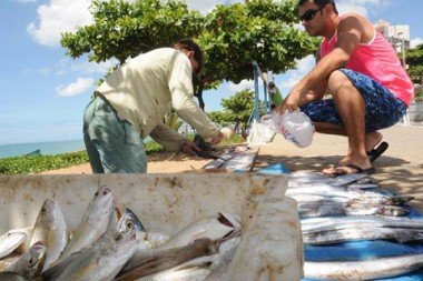 Quaresma: Período aquece o mercado