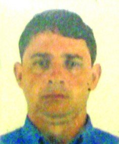 Tubarão: terra sem lei?