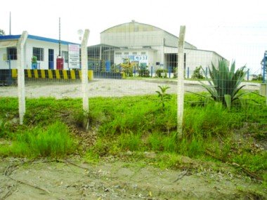 Embargo ambiental: Cysy é proibida de minerar