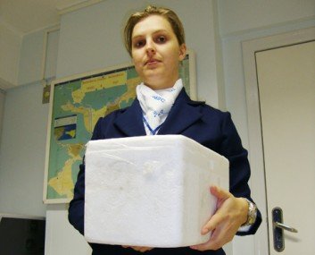 Doação de órgãos: Só os familiares podem autorizar