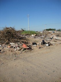 Meio ambiente: Terrenos baldios viram lixões
