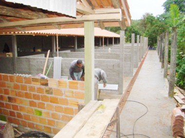 Cães de rua: Baias do horto estão quase prontas