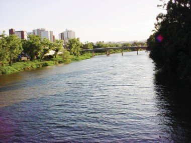 Dia Mundial do Meio Ambiente: “A situação é realmente crítica”