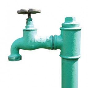 Dia Mundial do Meio Ambiente: Um exemplo  para o estado