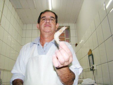 Produção de camarão: Safra fecha em 15 toneladas