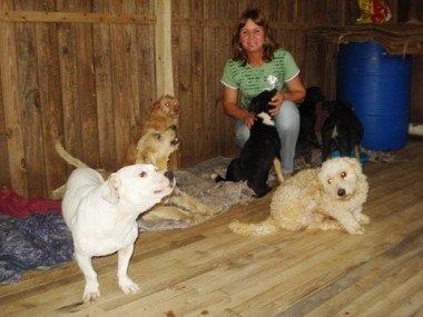 Campanha de conscientização: Domingo é o dia da 1ª “Cãominhada”