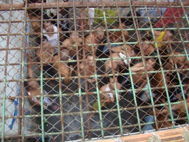 fugas-no-cip-inquerito-e-instaurado-para-apurar-detalhes-1