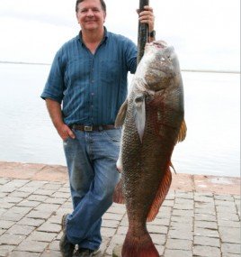 Deu peixe! E não é história de pescador