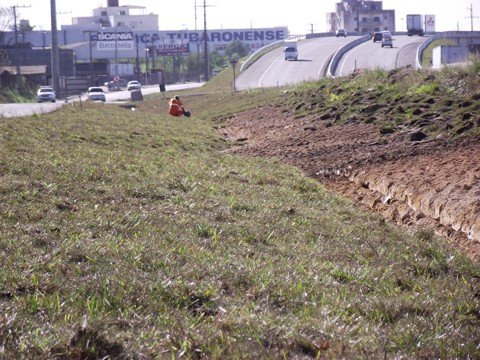 viaduto-recebe-gramas-para-evitar-erosao-1 A cobertura de gramas nos viadutos evitará a erosão do solo