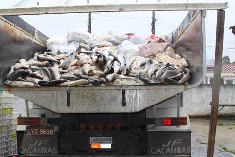 empresas-sao-interditadas-1 Em uma empresa foram apreendidos 13,390 mil quilos de pescados, que serão transformados em ração