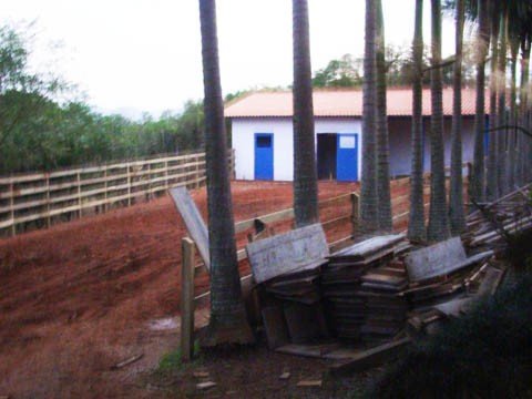 funcionamento-efetivo-em-no-maximo-6-meses-1 Daqui a três meses, os bovinos e equinos poderão ser recolhidos