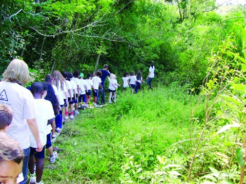 Escola Verde!