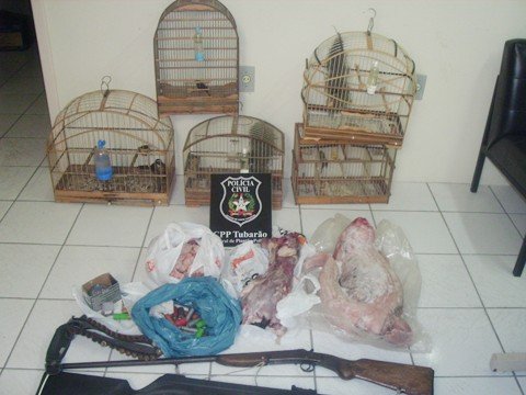 homem-e-preso-com-armas-e-municoes-1 As carnes estavam no frezzer, em um paiol atrás da residência. Uma espingarda de caça calibre 32 e uma carabina de pressão moderna também foram apreendidas.