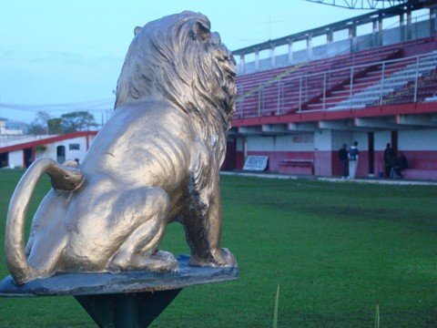 torcida-do-leao-e-contra-a-fusao-1 Torcida quer o Leão sozinho em 2012