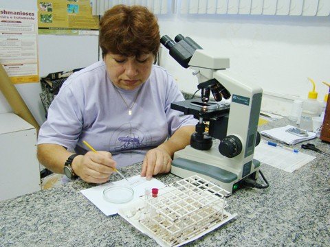 5o-foco-e-confirmado-1 A confirmação de que se tratavam de larvas do Aedes aegypti foi feita após a análise do material, pelo laboratório da 20ª gerência de saúde em Tubarão. Foto: Gilmar F. Estevan/Banco de Imagens/Notisul