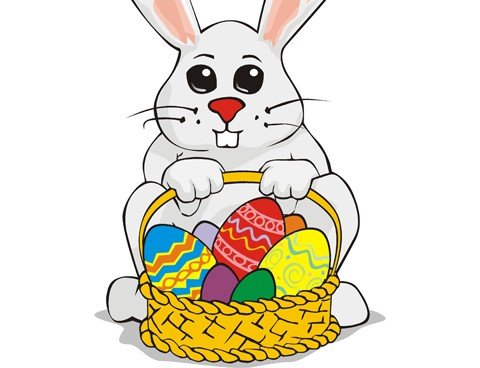 Lá vem o coelhinho!