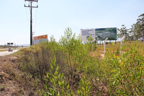 mais-uma-cidade-esta-no-pareo-1 Área da Santos Brasil, em Imbituba, às margens da BR-101 é uma das possibilidades para a instalação da fábrica da Cimolai na região.