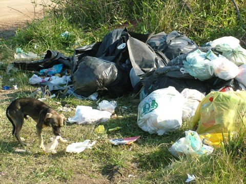 solucoes-para-area-rural-sao-buscadas-1 Em algumas localidades, o caminhão não passa há mais de um mês, e o lixo se acumula