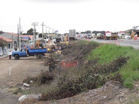 novo-desvio-e-aberto-1 O desvio será instalado entre o posto de combustíveis Lagoa até a atual ponte para travessia do Canal de Laranjeiras. A sinalização vertical provisória de obras será colocada em cinco estágios, em ambos sentidos - Fotos: Muriel Albonico/Esga-Dnit/Notisul