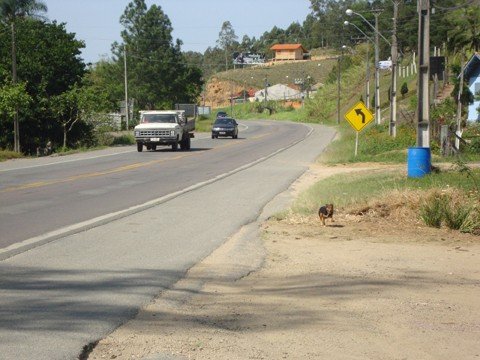 sc-438-um-grande-desafio-1 No trecho entre Gravatal e Braço do Norte, são 15 curvas acentuadas e que exigem ainda mais atenção do motoristas. Mesmo assim, é possível flagrar incontáveis ultrapassagens nestes pontos.