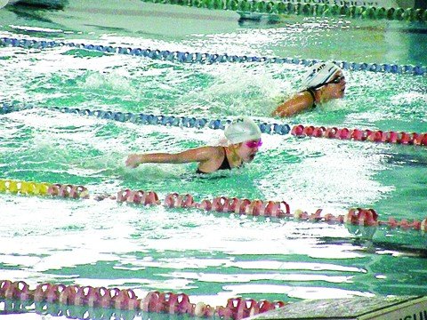 tubaronenses-disputam-torneio-sul-brasileiro-1 Competição será para atletas entre 9 e 12 anos - Foto:ATN/Divulgação/Notisul
