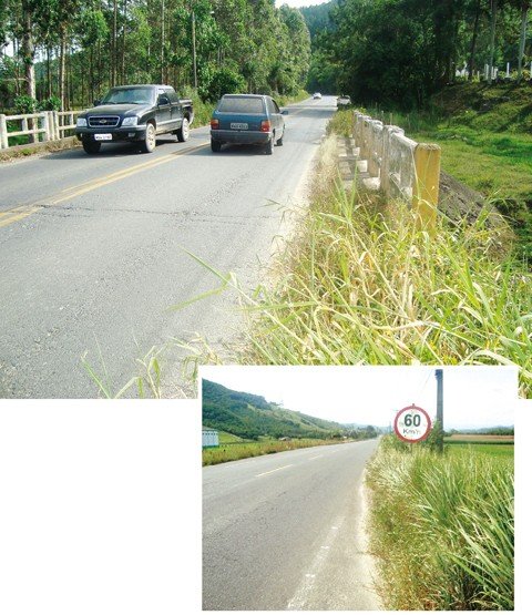 melhorias-sao-urgentes-1 As placas parecem flutuar às margens da SC-439, tamanha é a quantidade de mato. E não há verba para efetuar a limpeza este ano - Fotos: Wagner da Silva/Notisul