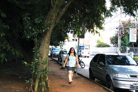 fundacao-prepara-se-para-emitir-licencas-1 Podar as árvores da beira rio é uma das metas do presidente da Fundação do Meio Ambiente de Tubarão, Guilherme Nunes Bressan.