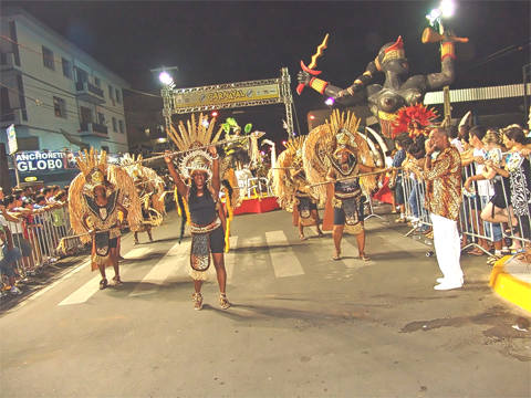 liga-das-escolas-de-tubarao-aguarda-recursos-1 Os desfiles das escolas de samba e blocos carnavalescos envolveram muitos tubaronenses nos últimos anos