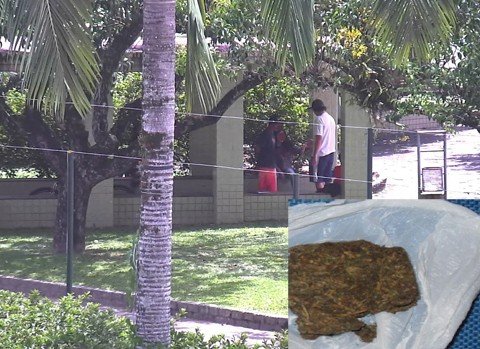 dois-jovens-sao-presos-em-flagrante-1 O jovem foi flagrado quando oferecia drogas para adolescentes em três ocasiões. As imagens das câmeras mostram o momento que eles fumam maconha em uma praça, no centro da cidade. A droga (em detalhe) foi apreendida em uma das vezes em que ele foi detido.