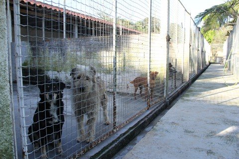Superlotação ainda preocupa