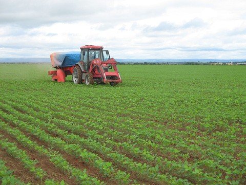 a-agropecuaria-catarinense-em-2013-temos-o-que-comemorar-1