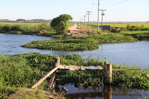 e-ai-cade-a-ponte-1 A ausência de uma travessia prejudica centenas de famílias. Foto: Silvana Lucas/Notisul