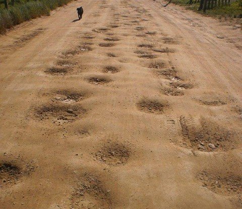 moradores-pedem-atencao-a-rodovia-1 Os buracos são encontrados em todos os pontos da rodovia que liga Imaruí a Pescaria Brava - Foto:Diego Postal/Divulgação/NotiSul