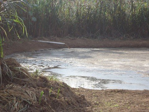 proprietarios-de-frigorifico-sao-presos-em-flagrante-1 Resíduos danosos eram despejados em um rio de Braço do Norte - Foto:Polícia Civil de Braço do Norte/Divulgação/Notisul