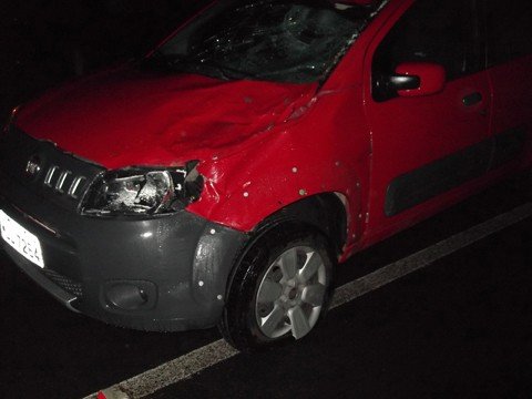 Duas pessoas ficam feridas após carro bater em cavalo