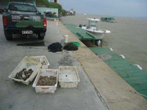 pesca-irregular-e-descoberta-1 Todo o pescado apreendido foi doado a instituições filantrópicas da região - Foto:Polícia Ambiental de Laguna/Divulgação/Notisul