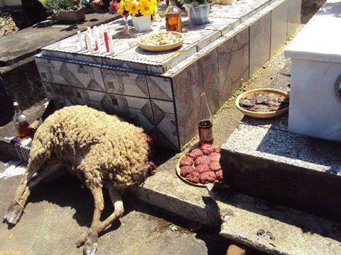 ex-mulher-encomenda-ritual-para-matar-familia-de-empresario-1 Um dos últimos rituais foi realizado no cemitério de Açucena, no mês passado, em Braço do Norte. Foto: Israel Souza/ARTV/Divulgação/Notisul