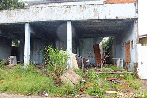 proprietarios-de-terrenos-baldios-sao-notificados-1 O lixo acumulado nos terrenos baldios é propício para a proliferação do mosquito da dengue - Foto:Elvis Palma/Divulgação/Notisul