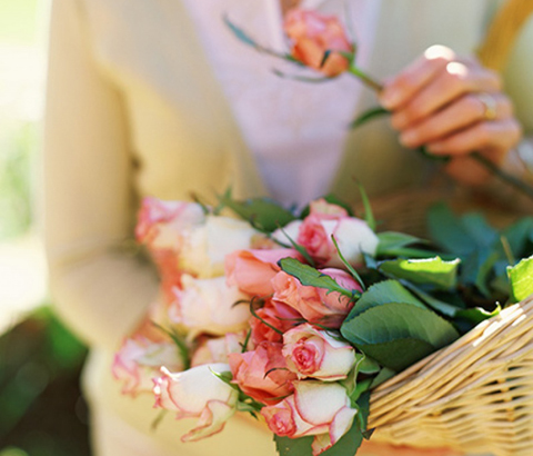 comercio-tera-horario-especial-1 As flores são uma das opções de presente que nunca desagradam para presentear as mães