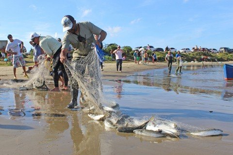 esta-aberta-a-safra-da-tainha-1 Os pescadores artesanais estão liberados para a pesca da tainha - Foto:Elvis Palma/Divulgação/Notisul