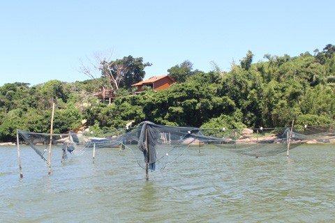periodo-de-defeso-iniciara-no-proximo-dia-15-1 O pescador que não cumprir a orientação estará sujeito às sanções - Foto:Elvis Palma/Divulgação