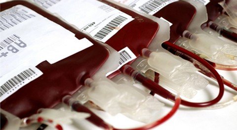 moradores-poderao-doar-sangue-1 O volume de sangue coletado é de cerca de 450 ml. É reposto rapidamente pelo organismo do doador - Foto:Divulgação/Notisul