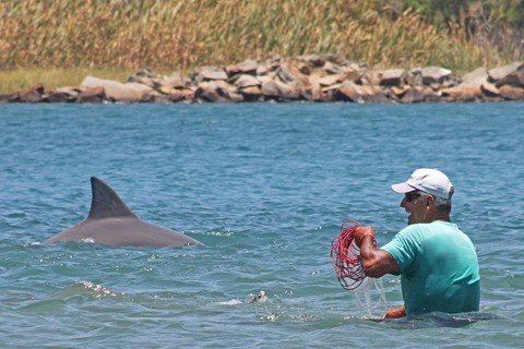 botos-ganham-destaque-1 O pescador Safico conta com a ajuda dos botos há 30 anos - Foto:Elvis Palma/Divulgação/Notisul