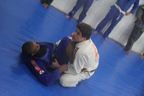 equipe-de-tubarao-busca-titulo-nacional-1 Atletas da Academia Gracie Gyn preparam-se para a competição do próximo fim de semana