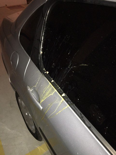 foi-atingido-nao-acione-o-limpador-do-parabrisa-1 Nesta tentativa, ocorrida segunda-feira à noite em uma rua em Tubarão, os bandidos erraram o alvo e os ovos atingiram a lateral do veículo - Foto:Divulgação/Notisul