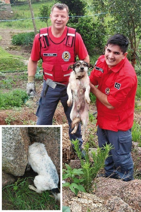cachorro-fica-preso-entre-rochas-1 Fotos: Bombeiros voluntários de Jaguaruna/Divulgação/Notisul